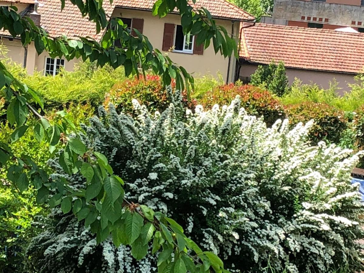 A O Soa B&B Savignone Exterior photo